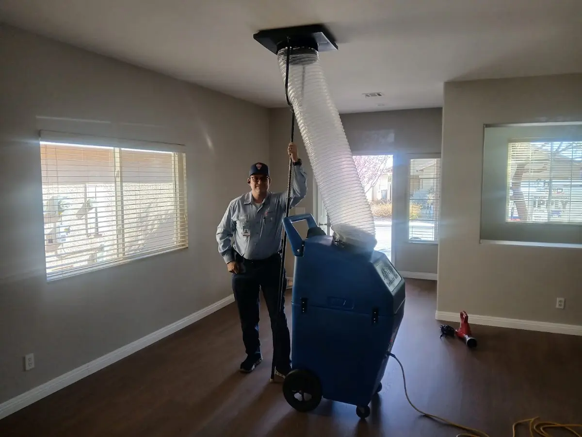 Professional Dryer Vent Cleaning work inside a Mabank home